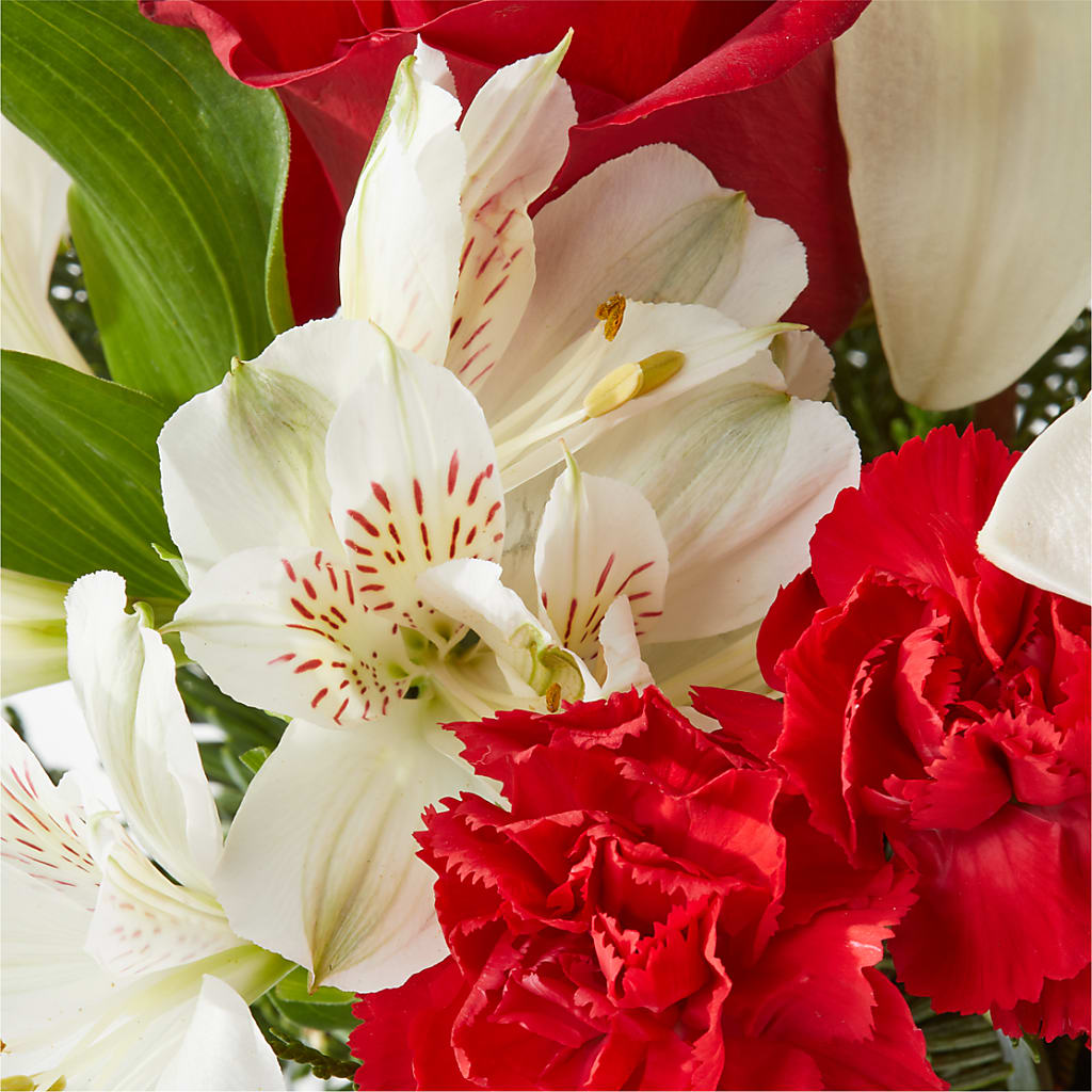 Holiday Season Bouquet –  Sunflowershop Llc, Orlando FL