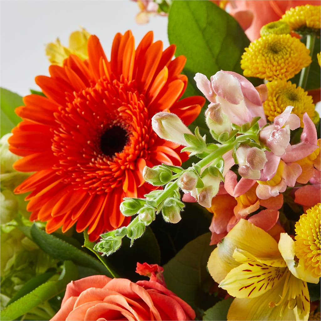 Autumn Sunshine Bouquet –  Sunflowershop Llc, Orlando FL