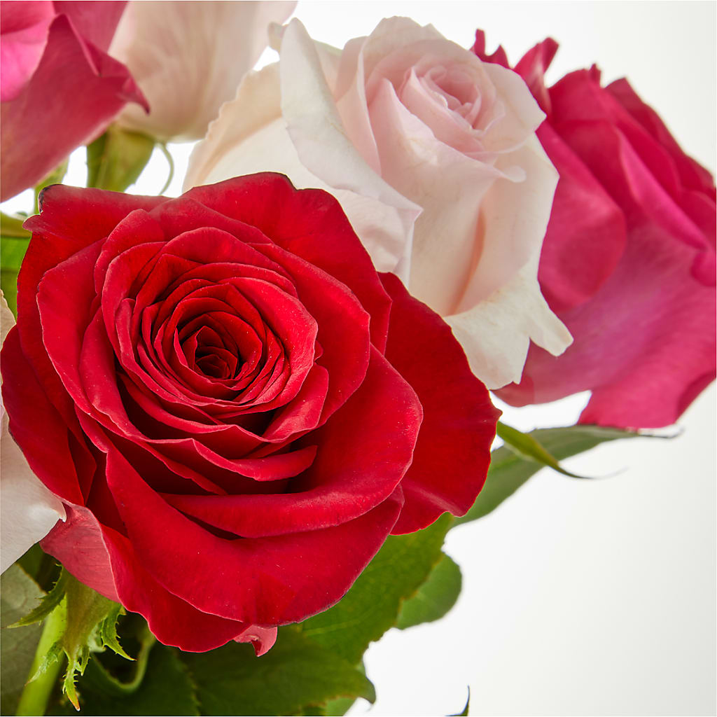 Charming Rose Bouquet –  Sunflowershop Llc, Orlando FL