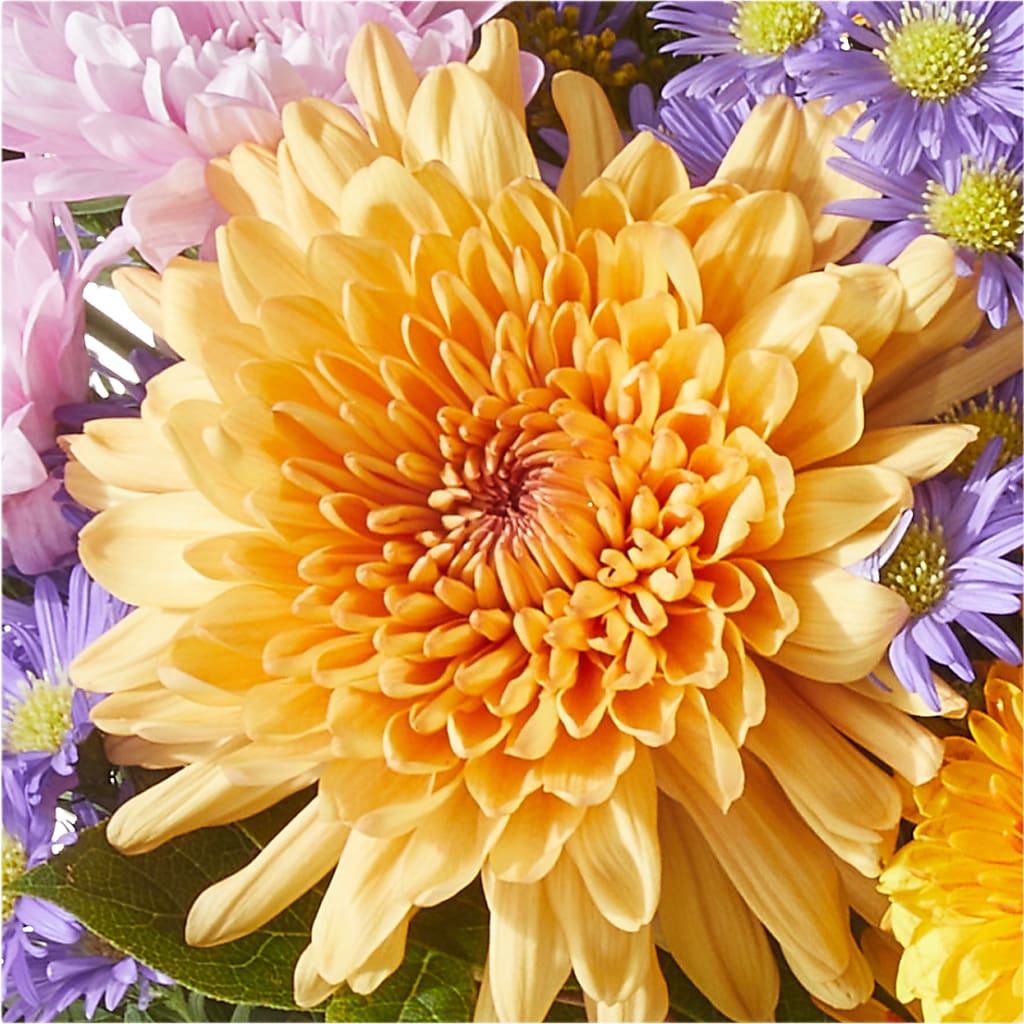 Countryside Bouquet –  Sunflowershop Llc, Orlando FL