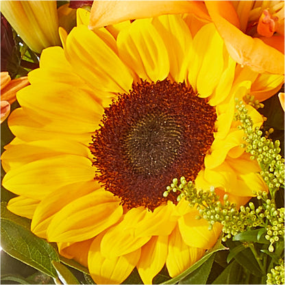 Seasons Change Bouquet –  Sunflowershop Llc, Orlando FL