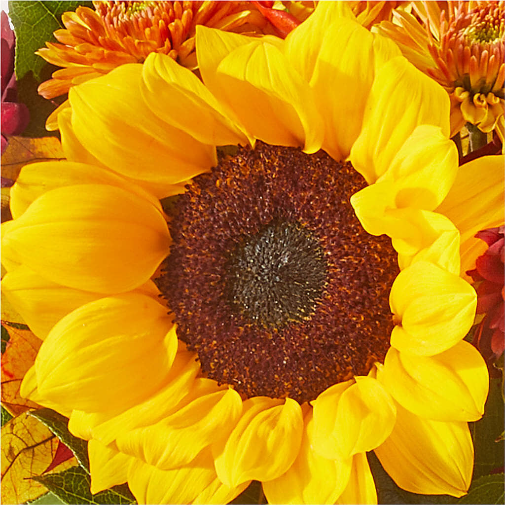 Sunny Side Bouquet –  Sunflowershop Llc, Orlando FL