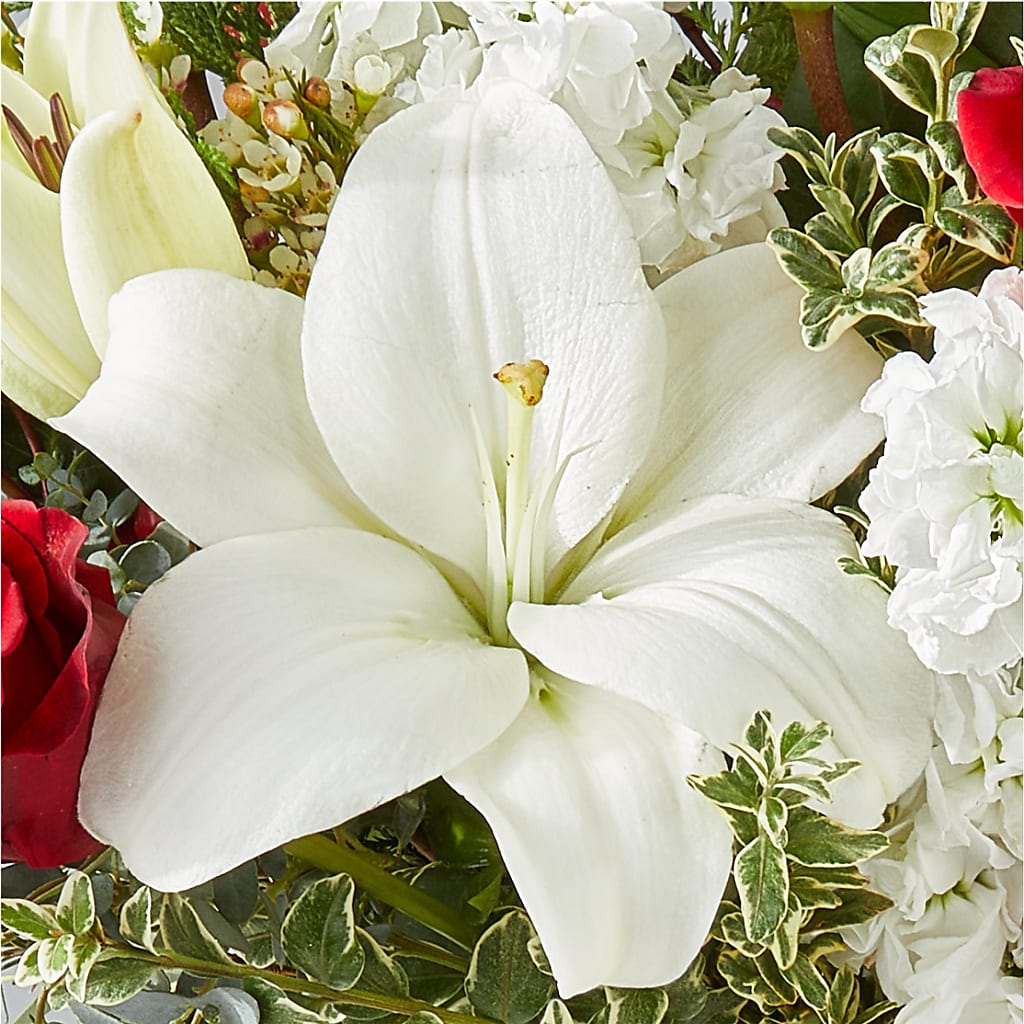 Twinkle Lights Bouquet –  Sunflowershop Llc, Orlando FL