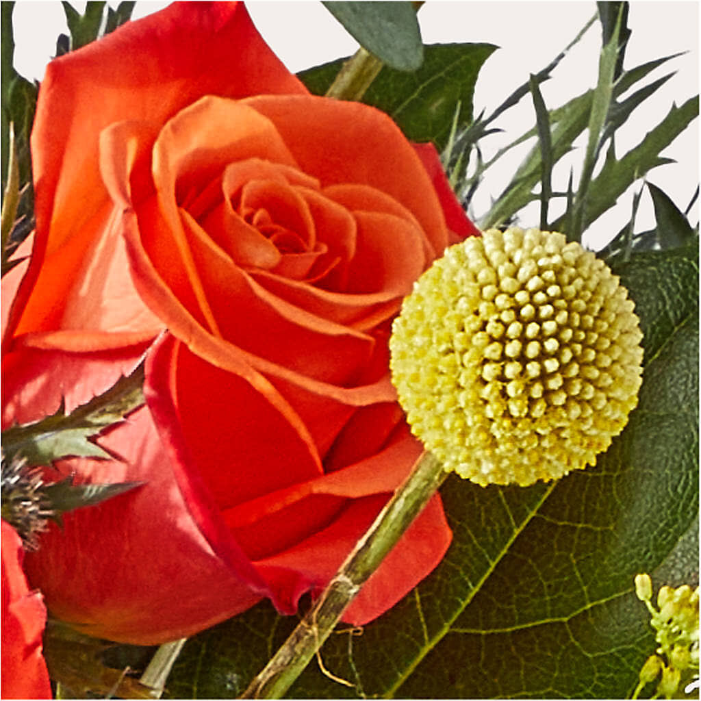 Disco Bouquet –  Sunflowershop Llc, Orlando FL
