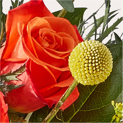 Disco Bouquet –  Sunflowershop Llc, Orlando FL