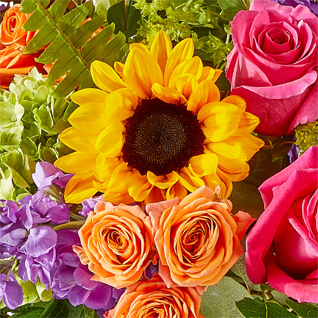 Vibrant Greetings Bouquet –  Sunflowershop Llc, Orlando FL