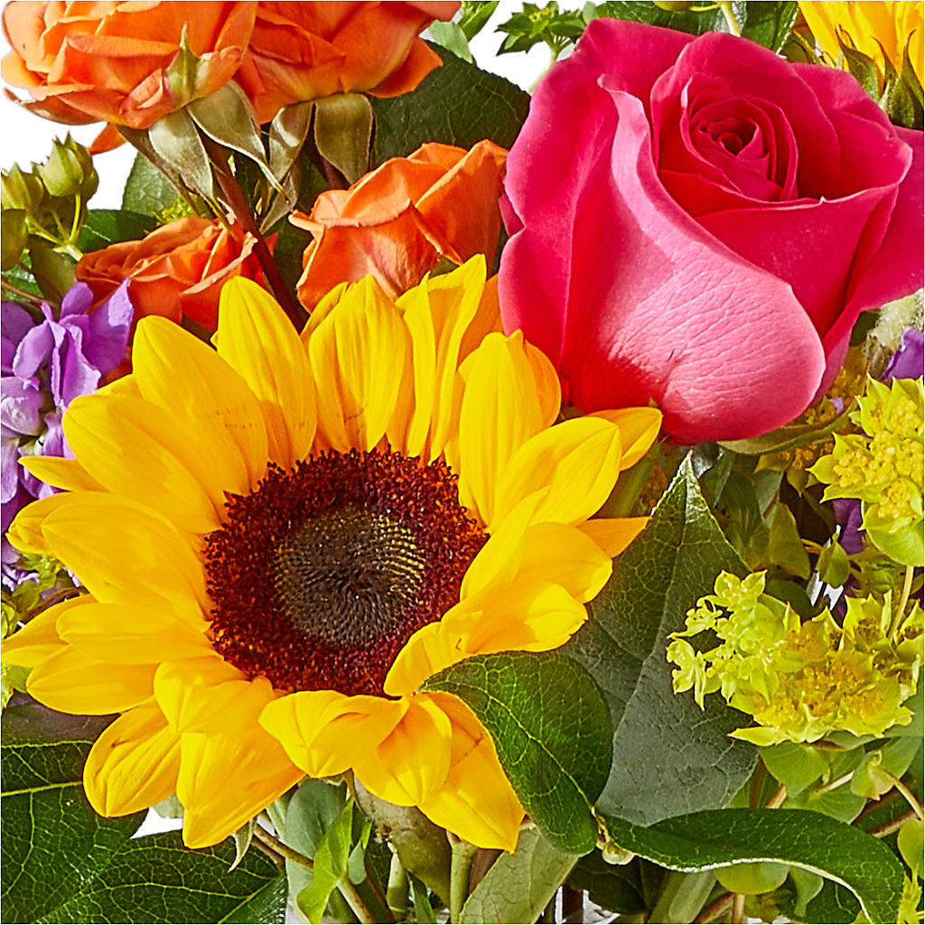 Vibrant Greetings Bouquet –  Sunflowershop Llc, Orlando FL