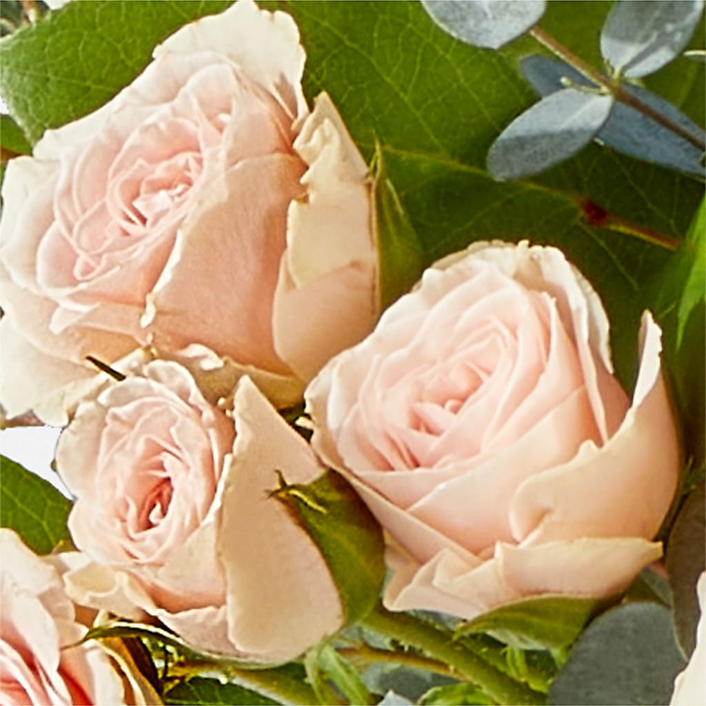 Inspired Bouquet –  Sunflowershop Llc, Orlando FL