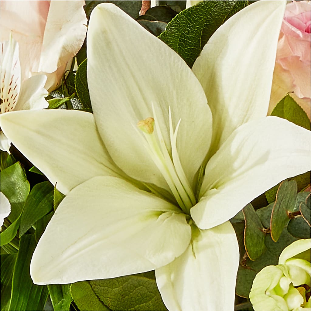 Ballet Slippers Bouquet –  Sunflowershop Llc, Orlando FL