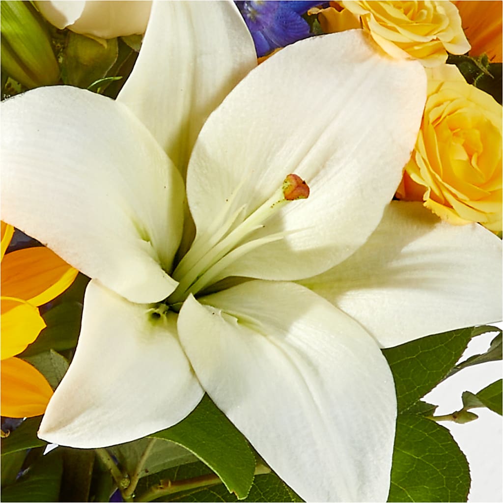 Wonderfully Sunny Bouquet –  Sunflowershop Llc, Orlando FL