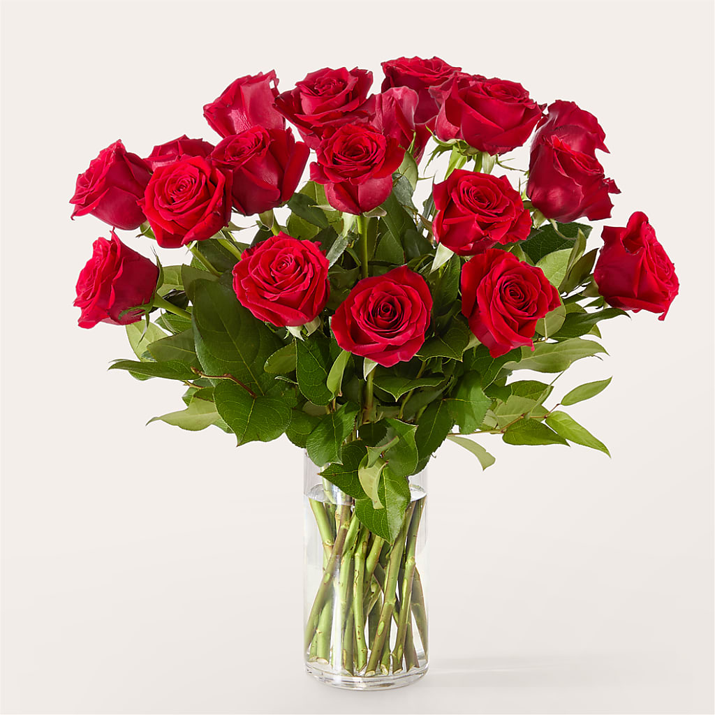 The One Red Rose Bouquet –  Sunflowershop Llc, Orlando FL