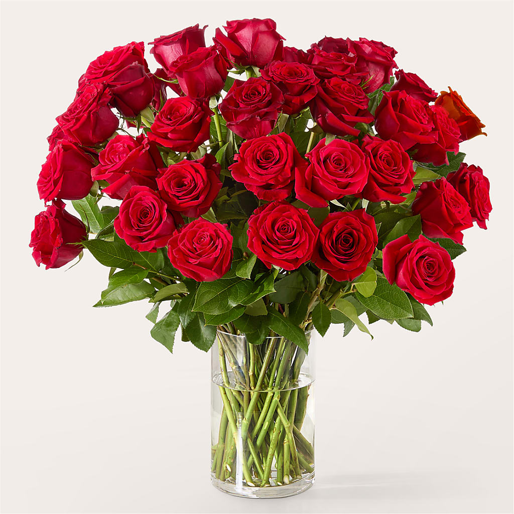 The One Red Rose Bouquet –  Sunflowershop Llc, Orlando FL