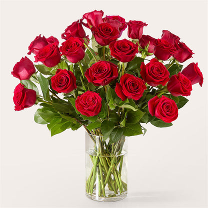 The One Red Rose Bouquet –  Sunflowershop Llc, Orlando FL