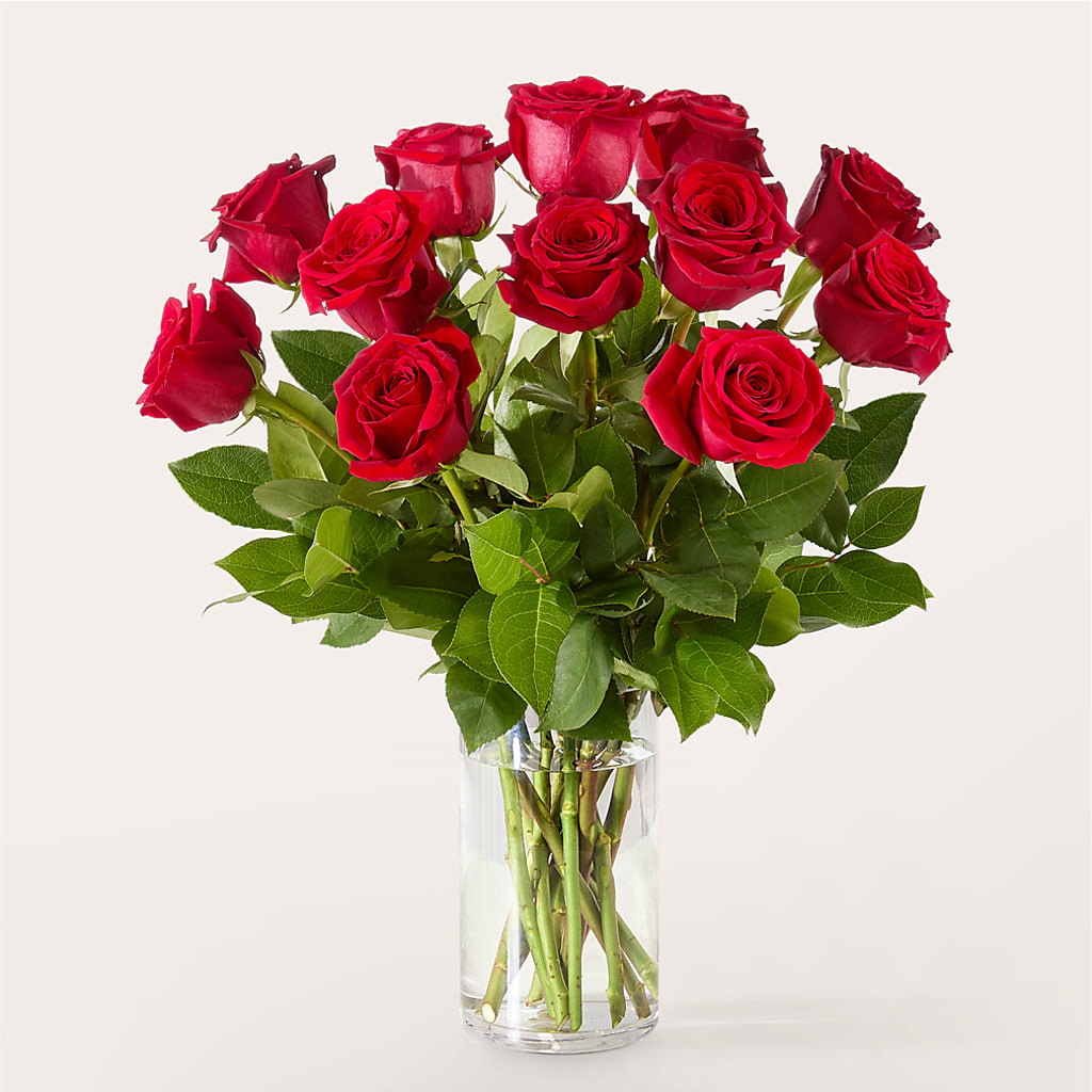 The One Red Rose Bouquet –  Sunflowershop Llc, Orlando FL