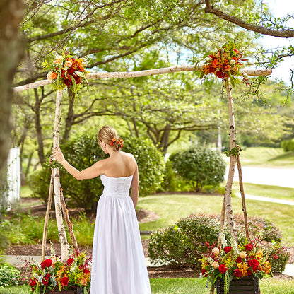 Arbor of Love Archway –  Sunflowershop Llc, Orlando FL