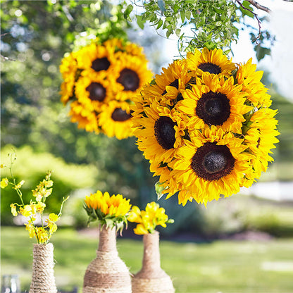 Sublime Garden Hanging Arrangement –  Sunflowershop Llc, Orlando FL