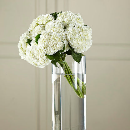 White Hydrangea Hand-Tied Bouquet –  Sunflowershop Llc, Orlando FL