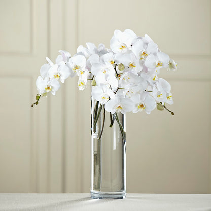 White Phalaenopsis Bouquet –  Sunflowershop Llc, Orlando FL