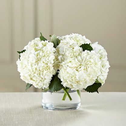 White Hydrangea Bouquet –  Sunflowershop Llc, Orlando FL